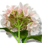 28'' Printed Hydrangea ( INT5720-LIGHT PINK )
