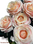 19'' Deluxe Rose Bush ( B1024N-#11 Hot Pink )