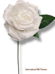 18'' Rose Bush ( INT5526-White )