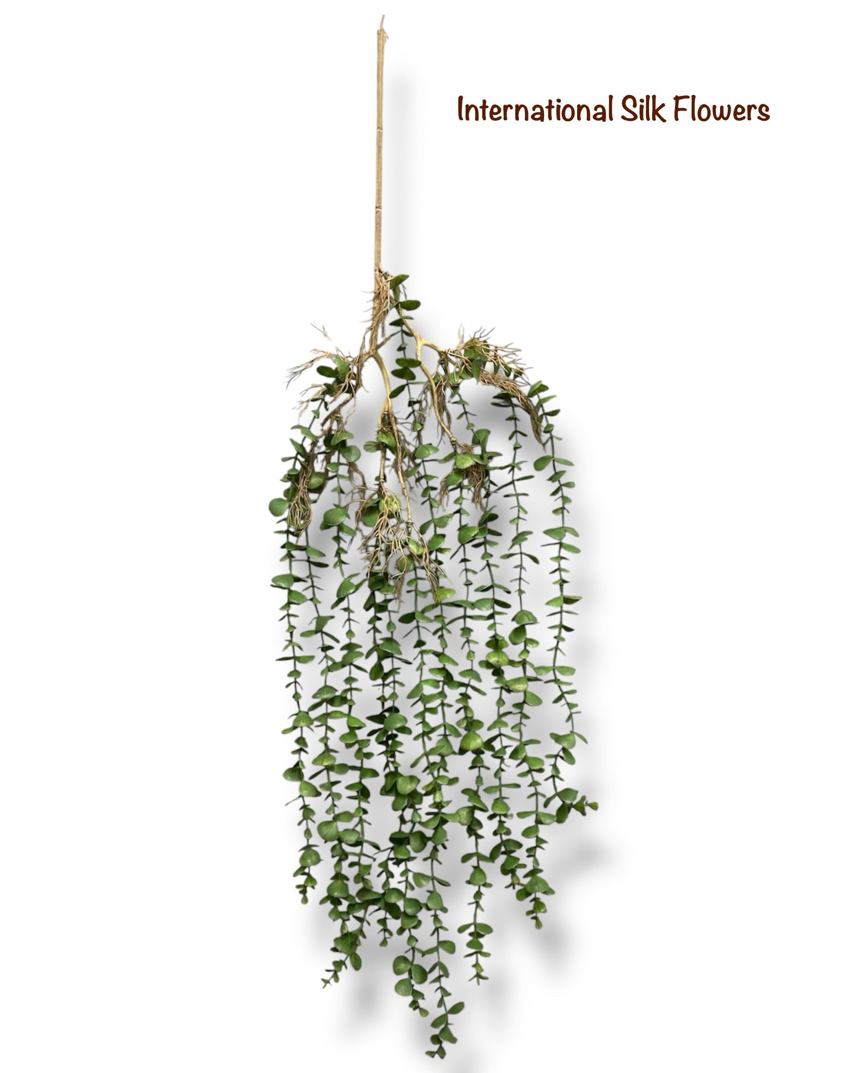 39'' Hanging Eucalyptus ( INT01611 )