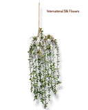 39'' Hanging Eucalyptus ( INT01611 )