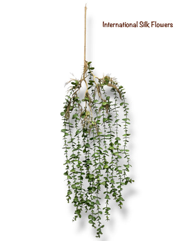 39'' Hanging Eucalyptus ( INT01611 )