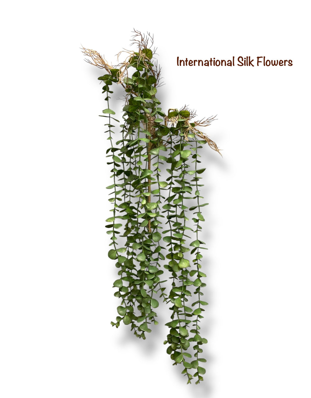 39'' Hanging Eucalyptus ( INT01611 )