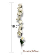 25'' Peach Blossom Bush ( B2488-Cream )