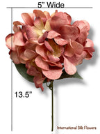17.5' Hydrangea Bush ( TY3795-Rose )