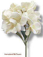 17.5' Hydrangea Bush ( TY3795-CR )
