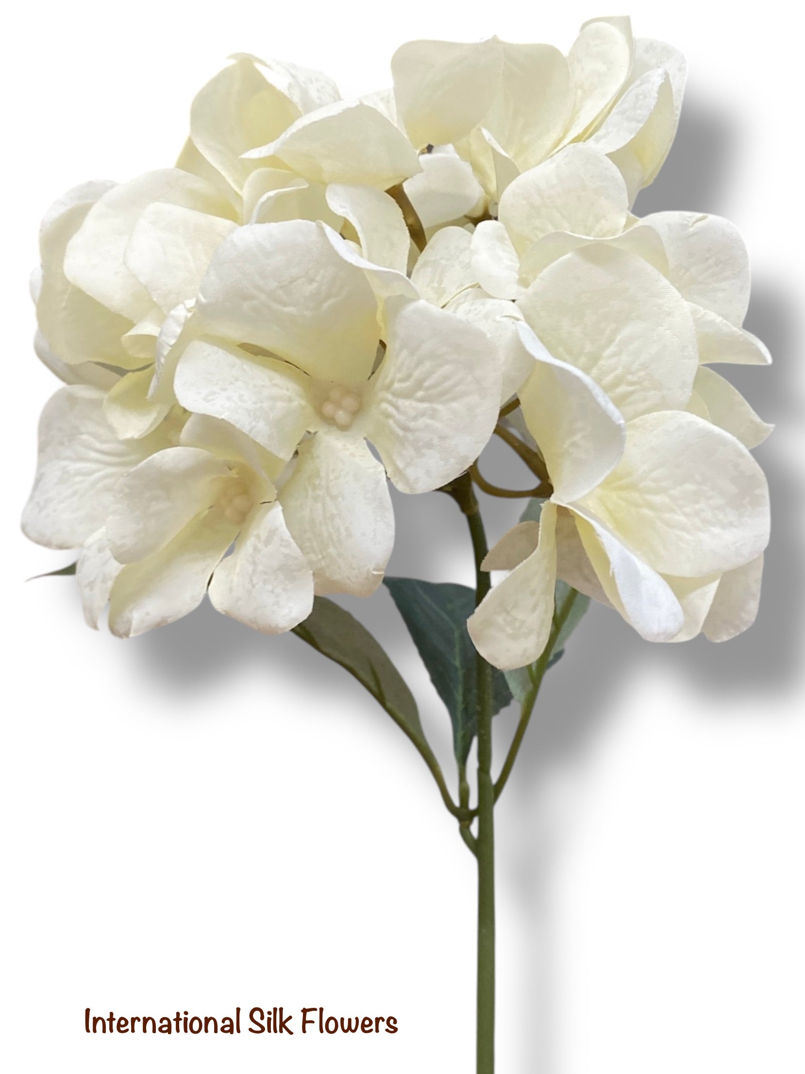 17.5' Hydrangea Bush ( TY3795-CR )