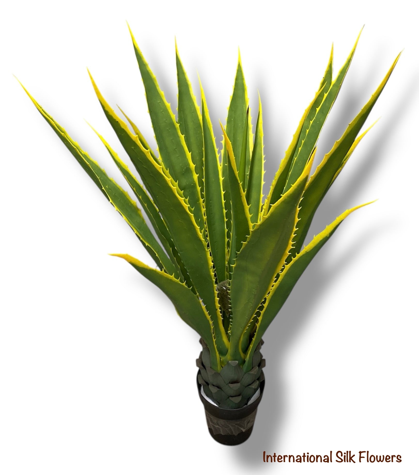 4.25' Mexican Agave ( 8102 Green/Yellow )