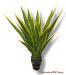 4.25' Mexican Agave ( 8102 Green/Yellow )