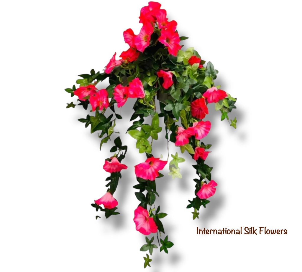 27'' MORNING GLORY HANGING BUSH ( 30563-Beauty )