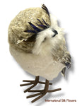 8'' Owl ( 269824-BN/WH )