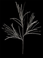 38'' Glitter Pine Twig Spray ( 255050-Silver )