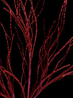 38'' Glitter Pine Twig Spray ( 255050-Red )