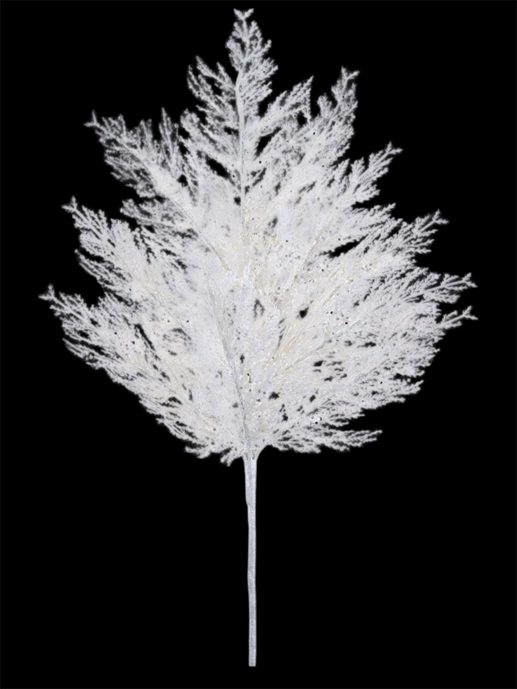 27" Glittered Pine Spray ( XAS115-WH )