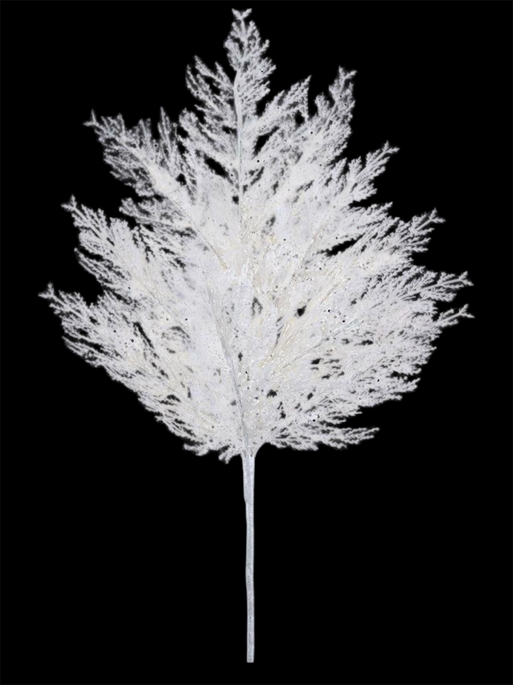 27" Glittered Pine Spray ( XAS115-WH )