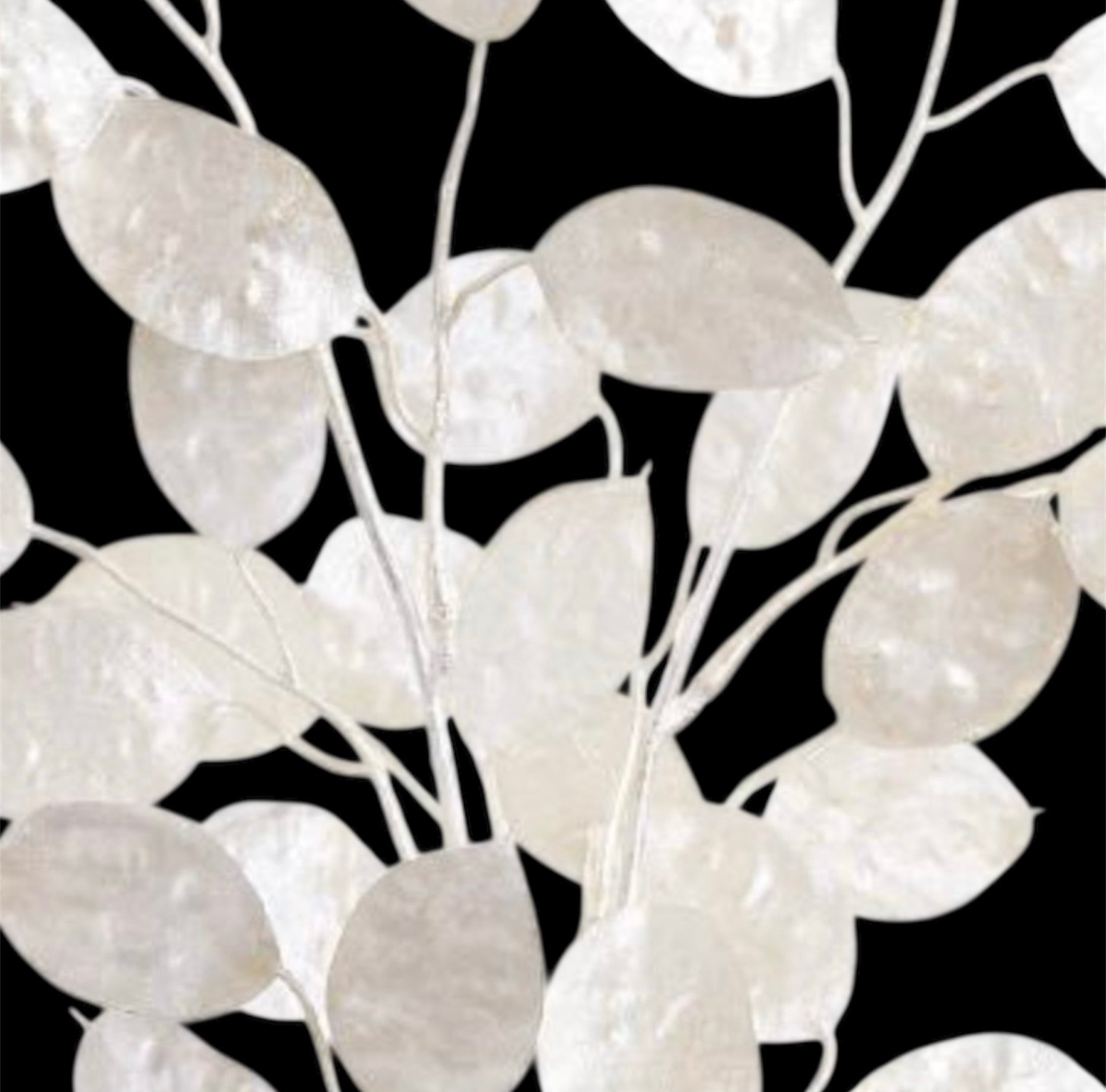 18" Glittered Silver Dollar Bundle ( XAS653-PEA )