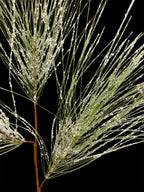 39'' Ice/Snow Pine Spray ( 134943-WH/GN )