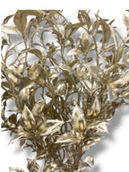 22'' Tea Leaf Bush ( 131923-CH )