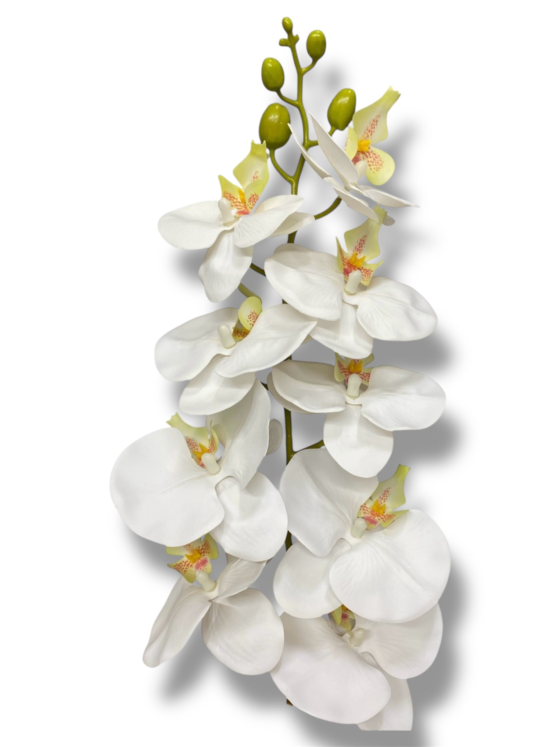 37'' Natural Touch Orchid ( INT053-White )