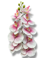 37'' Natural Touch Orchid ( INT053-Cream Beauty )