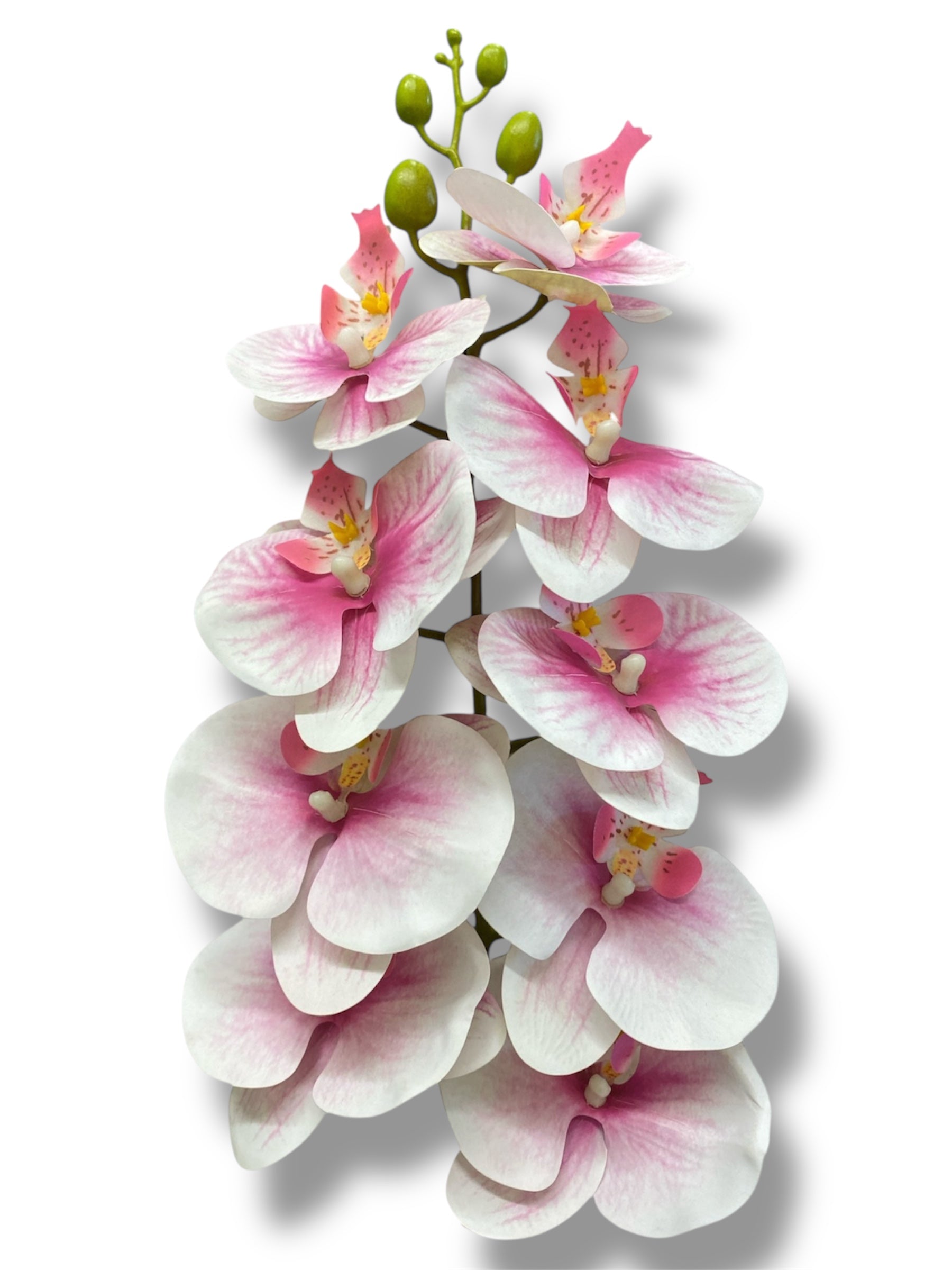 37'' Natural Touch Orchid ( INT053-Cream Beauty )