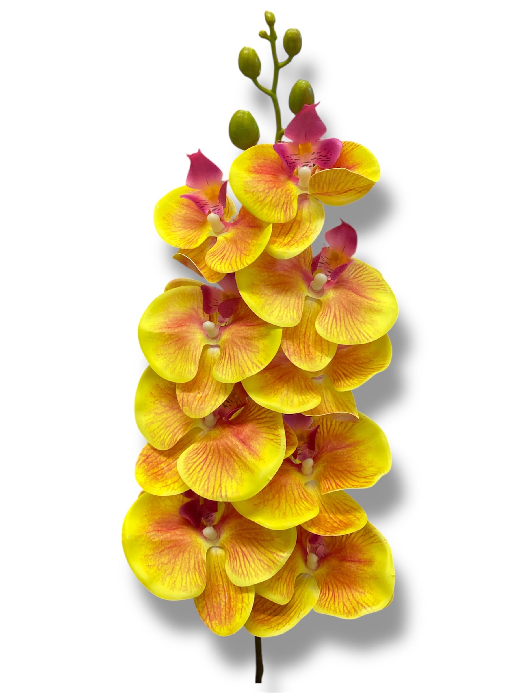37'' Natural Touch Orchid ( INT053-Yellow )