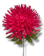 22'' New Mum Bush ( J7023-#10 New Fushia  )