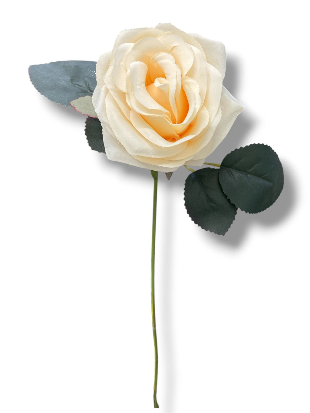 17.5'' Deluxe Rose Bush ( B1024N-#22 New Beige ) AN10004