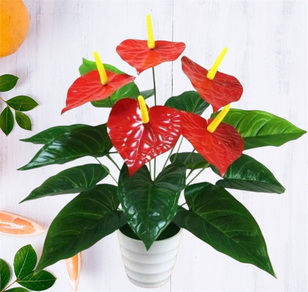 43'' ANTHURIUM LEAF ( INT0012 )