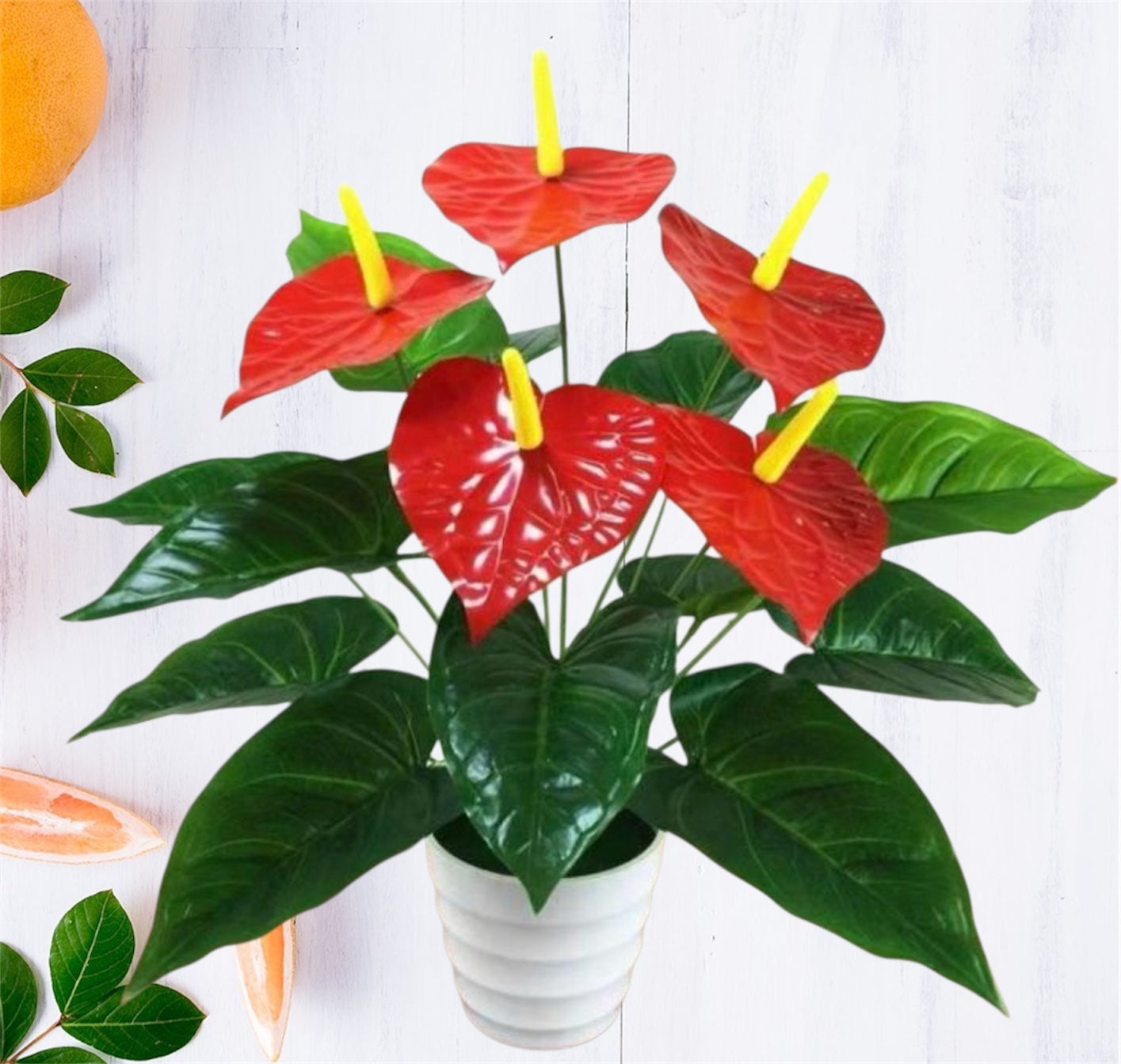 43'' ANTHURIUM LEAF ( INT0012 )