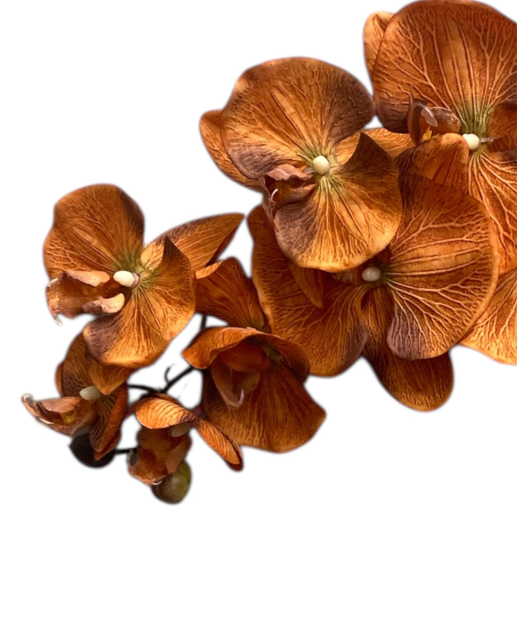 36" Silk Orchid Spray ( S1TJ16F-COP )