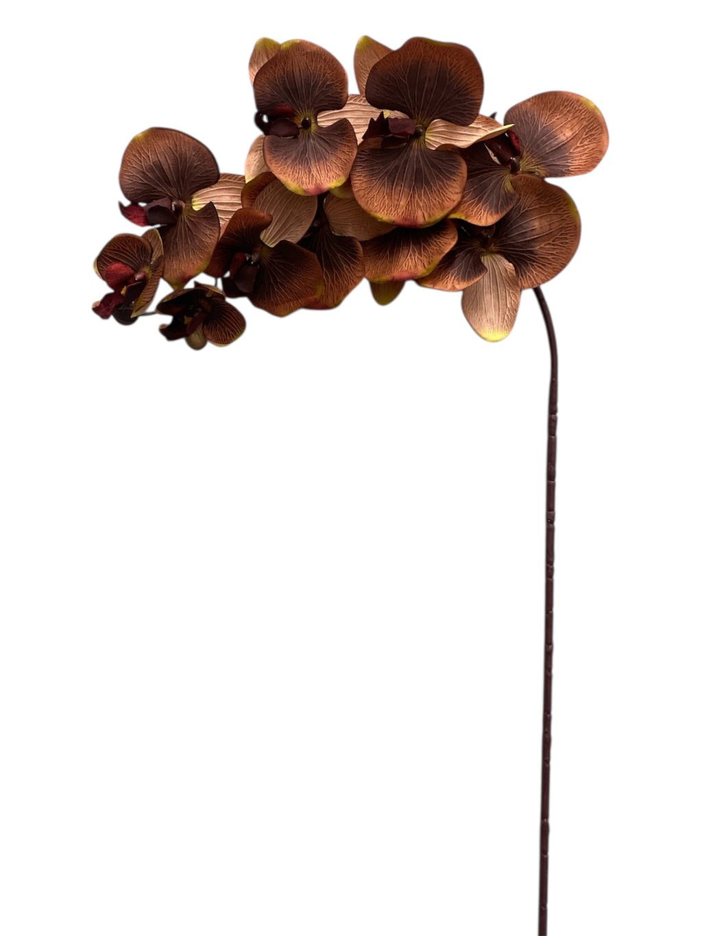 36" Silk Orchid Spray ( S1TJ16F-BN )