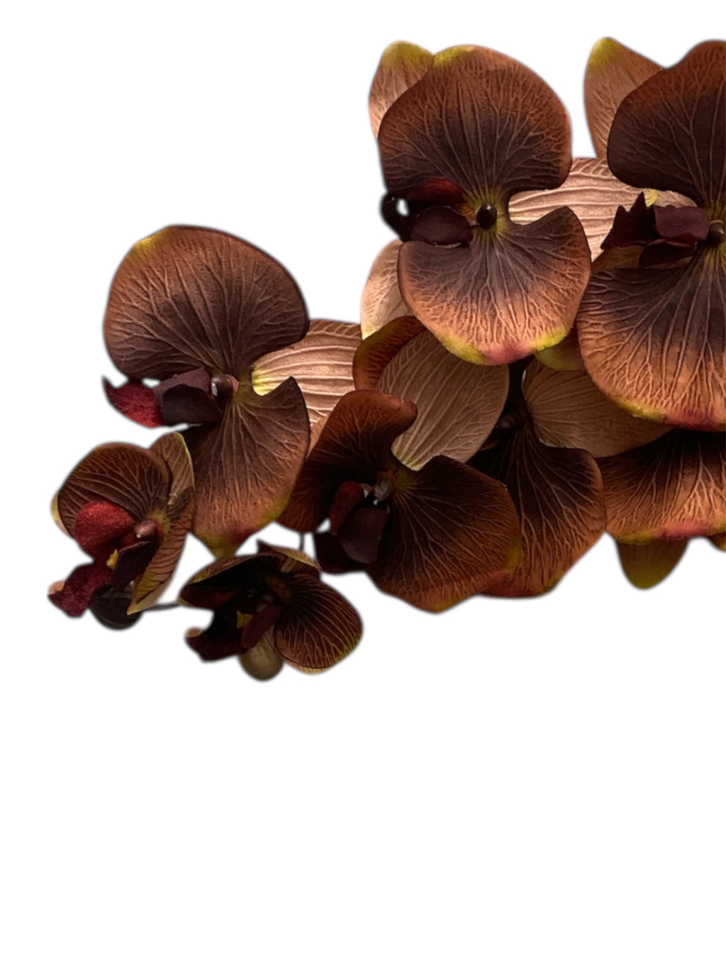 36" Silk Orchid Spray ( S1TJ16F-BN )