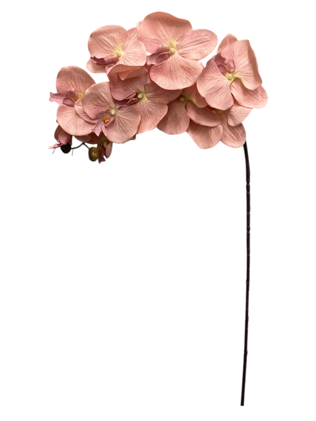 36" Silk Orchid Spray ( S1TJ16F-Dusty Rose )