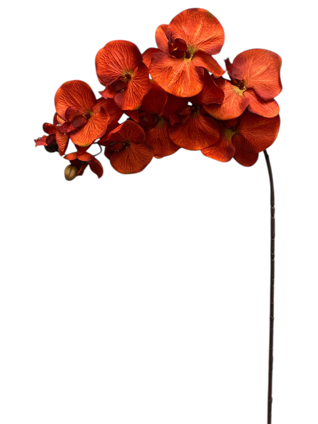 36" Silk Orchid Spray ( S1TJ16F-RUST )