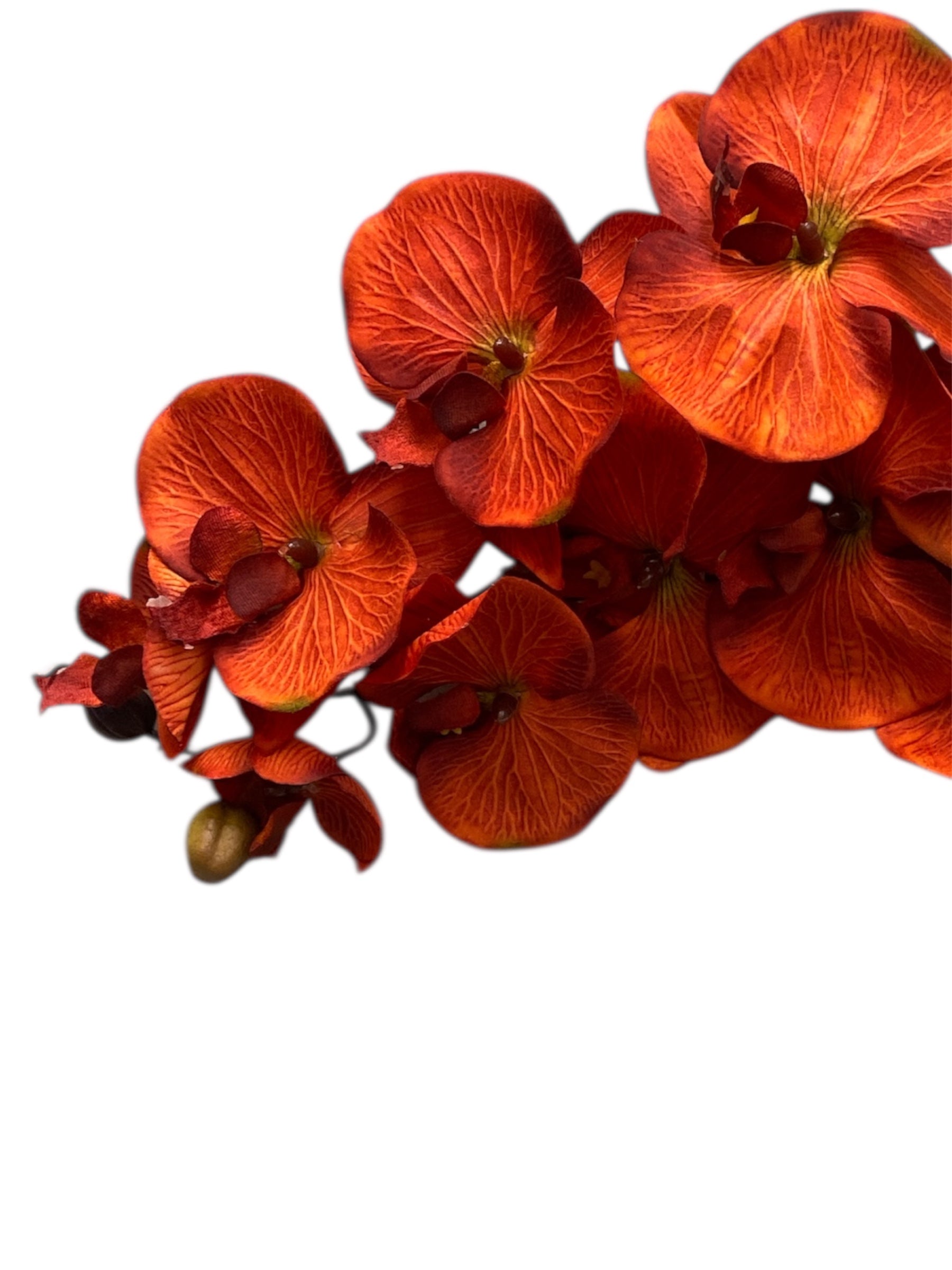 36" Silk Orchid Spray ( S1TJ16F-RUST )