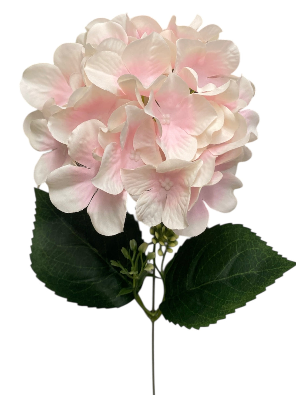 18'' Pongee Hydrangea Bush ( INT24007-#30 Cream Pink )