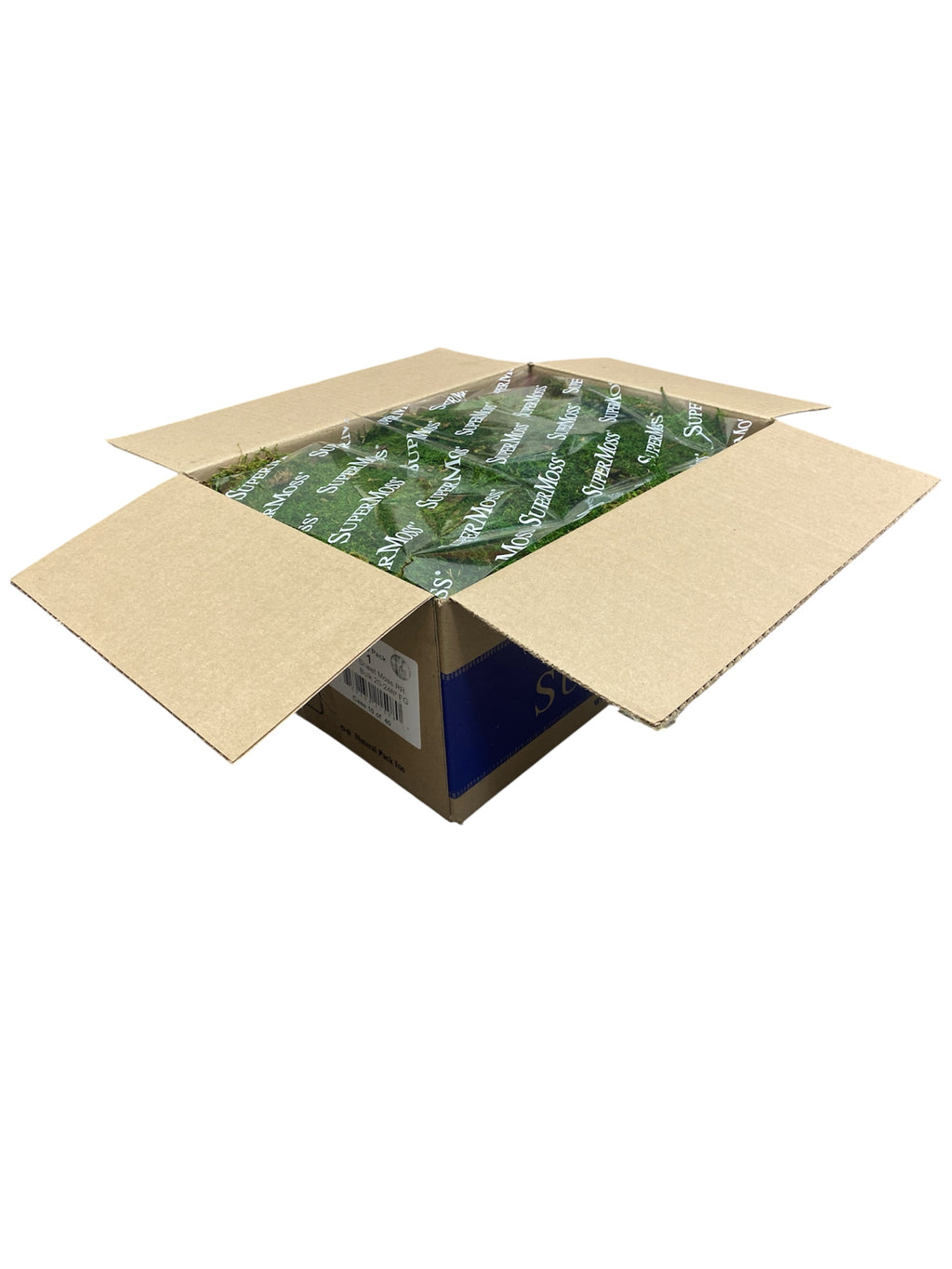 Sheet Moss ( 21508 )