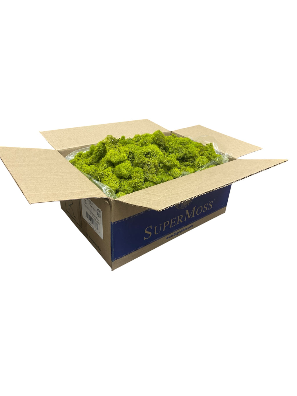 Reindeer Moss in Box 3LB  ( 21773 )