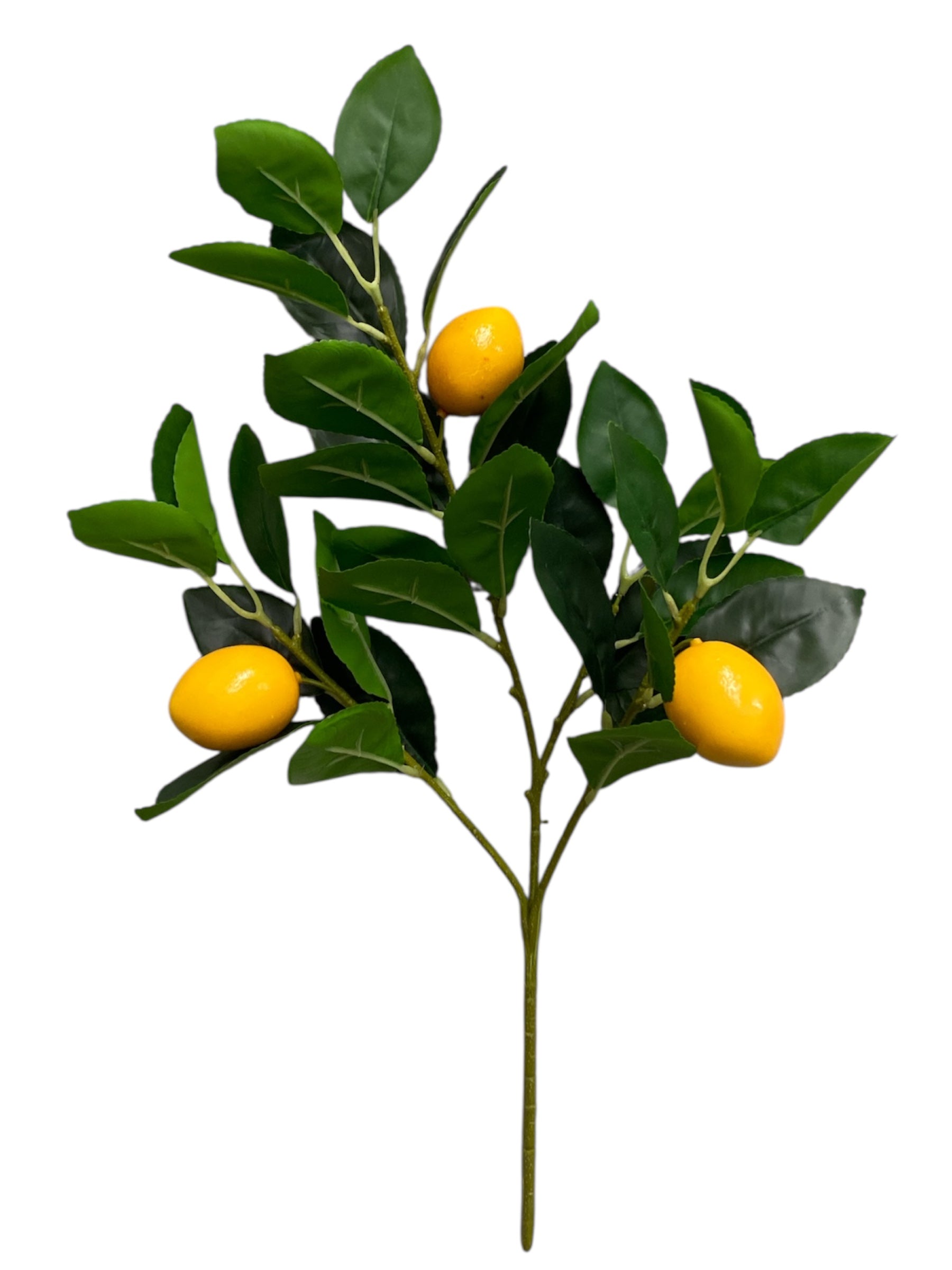 19'' Lemon Branch ( INT3003S )
