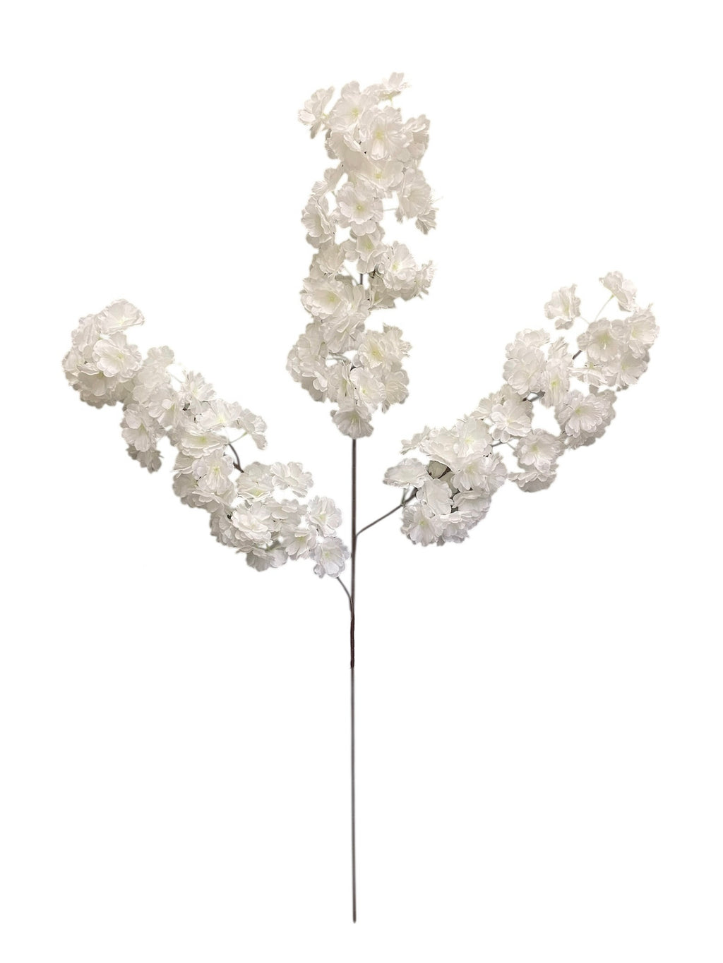 36'' Cherry Blossom ( SS120-Cream ) ( INT120-Cream )