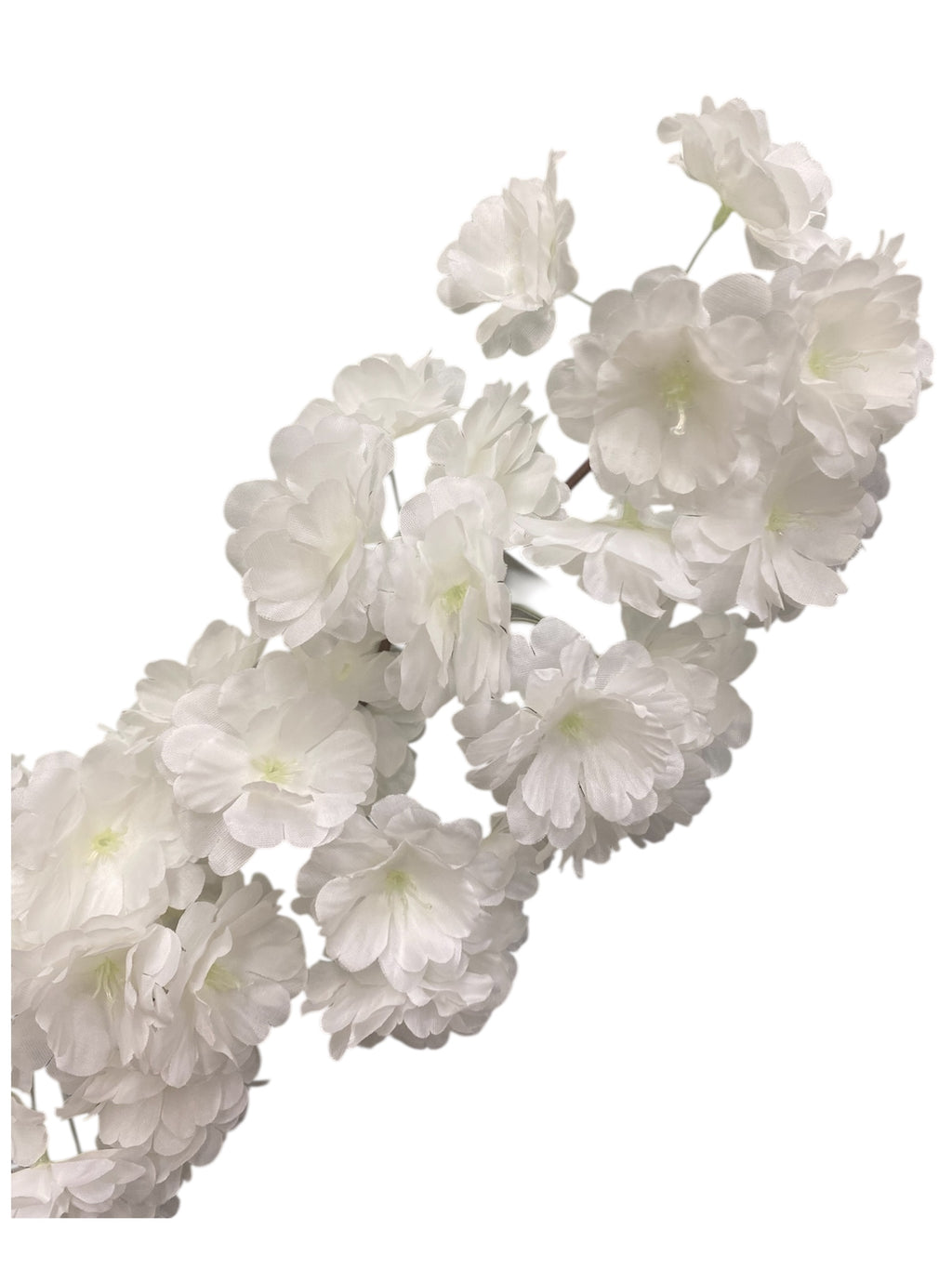 36'' Cherry Blossom ( SS120-Cream ) ( INT120-Cream )