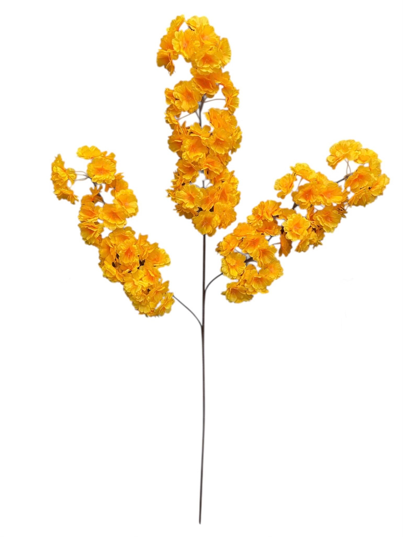36'' Cherry Blossom ( SS120-Yellow ) ( INT120-Yellow )