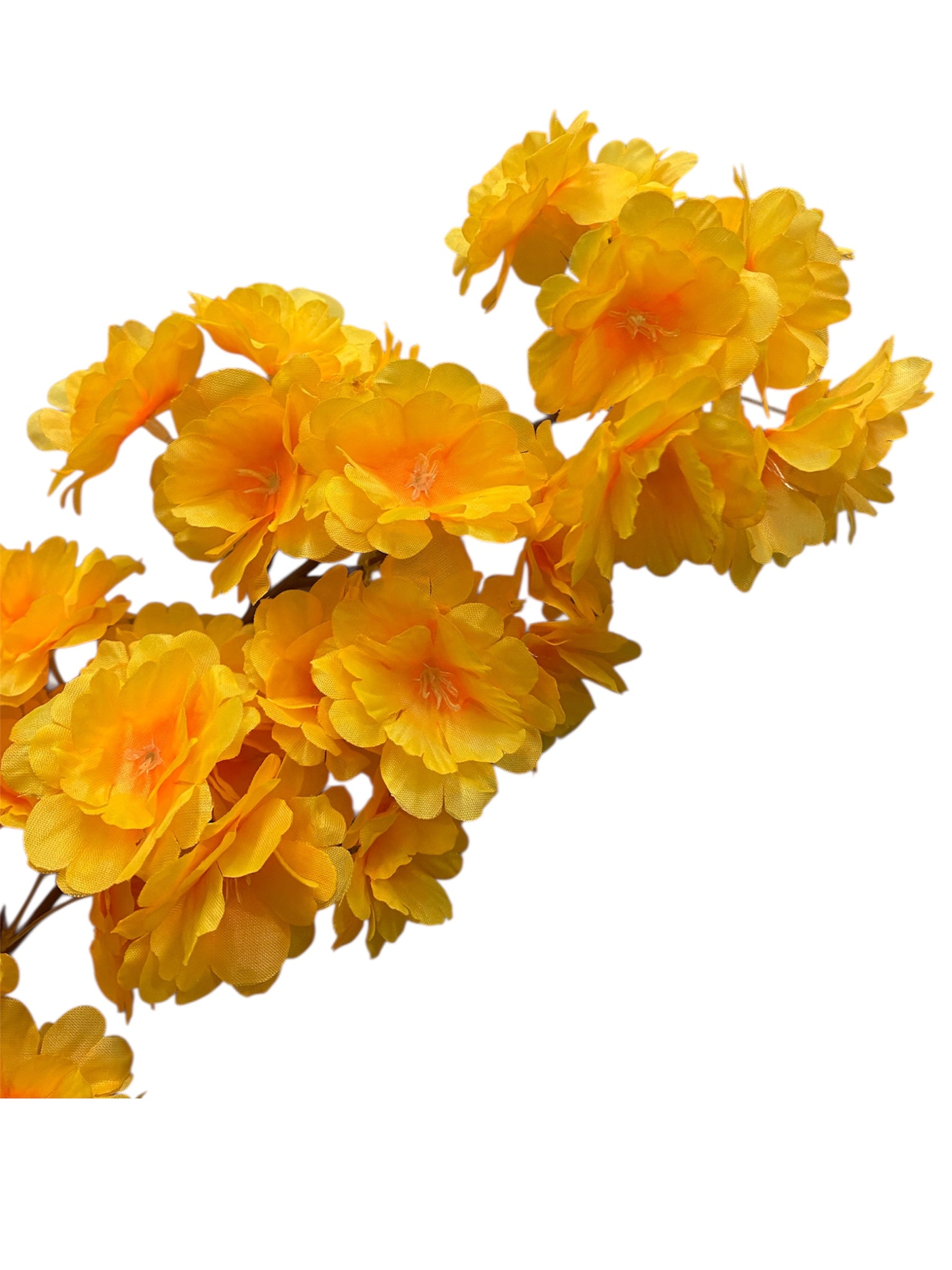 36'' Cherry Blossom ( SS120-Yellow ) ( INT120-Yellow )