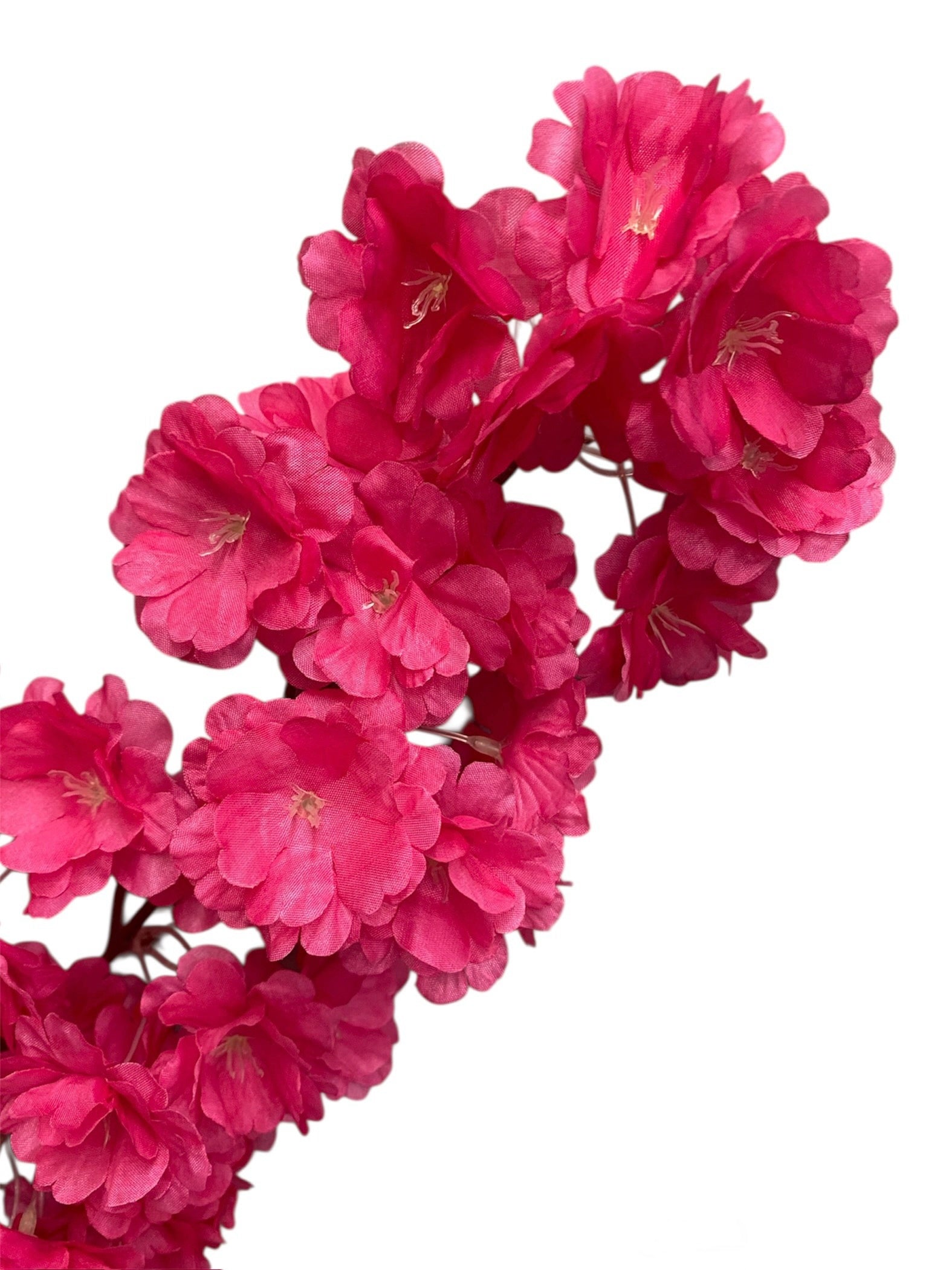 36'' Cherry Blossom ( SS120-New Beauty ) ( INT120-New Beauty )