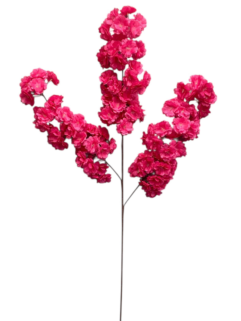 36'' Cherry Blossom ( SS120-New Beauty ) ( INT120-New Beauty )