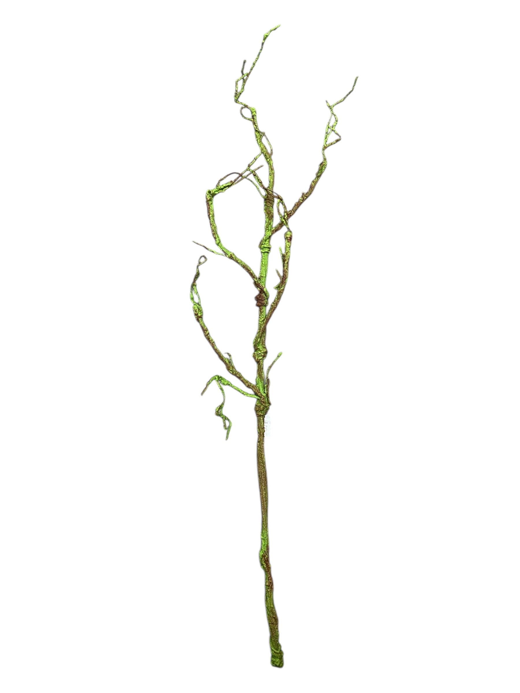 45'' Twig Branch ( 193098-Green Brown )