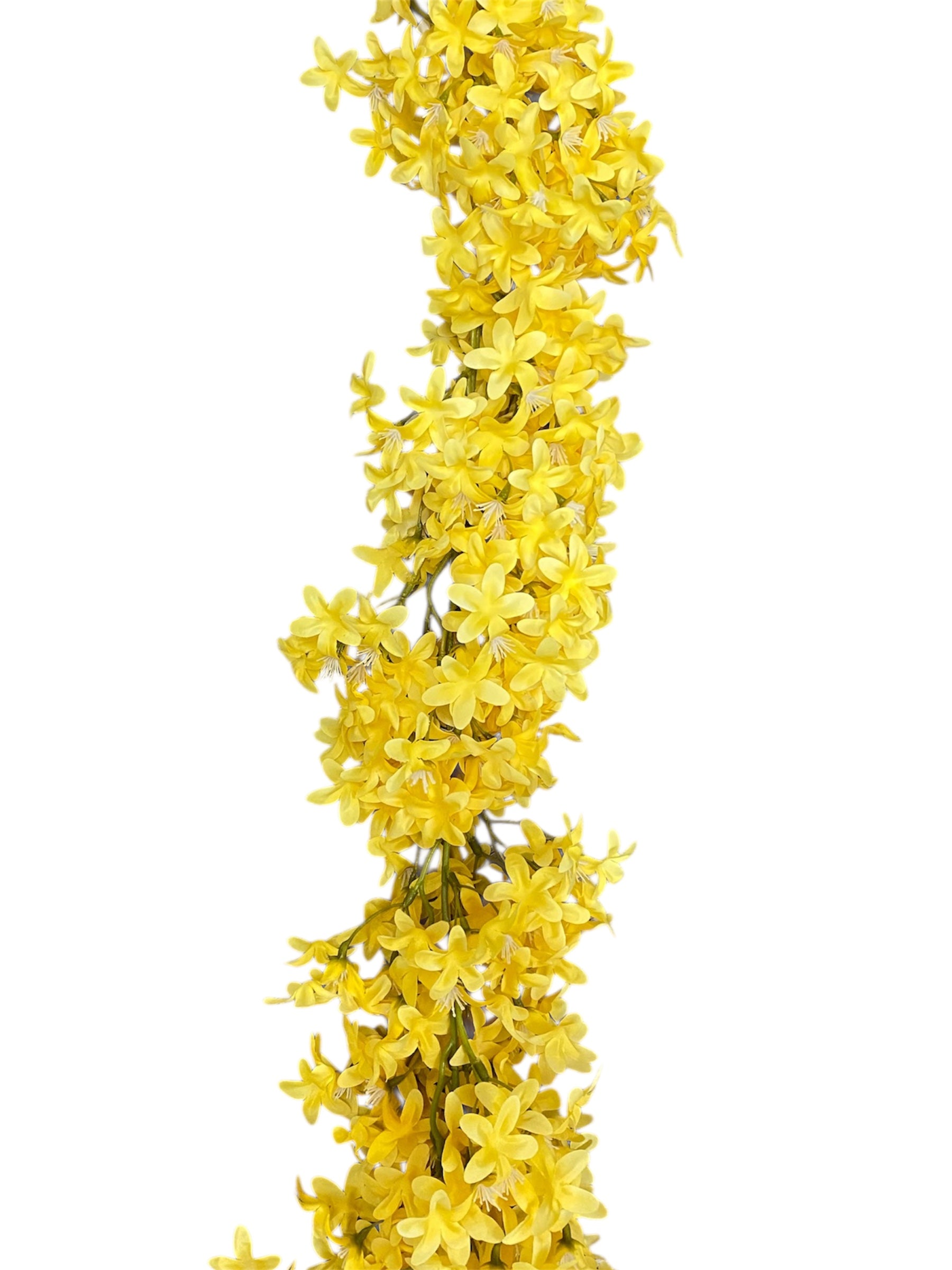 6' Star Lily Garland ( WG139-#10 Yellow )