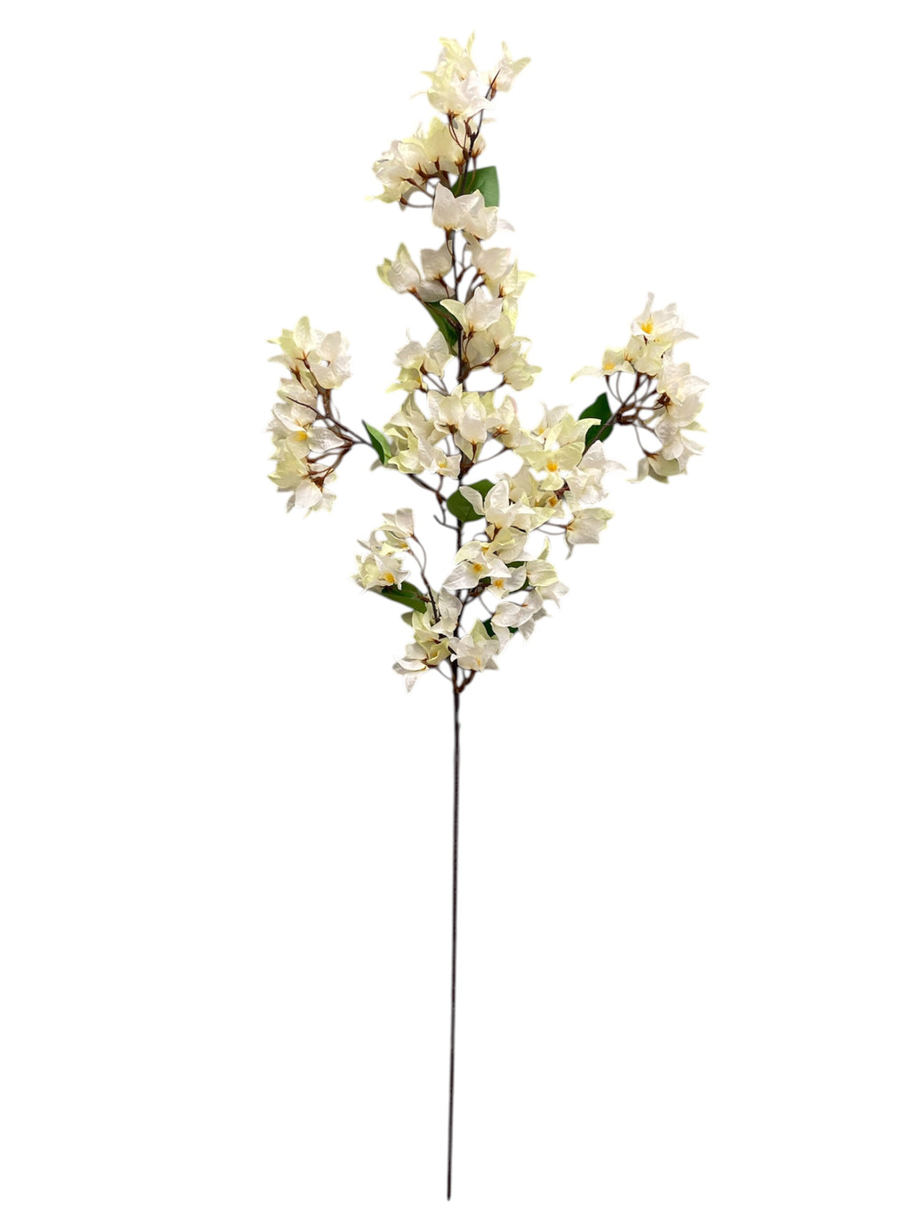 46'' Single Bougainvillea ( INT510-37-#3 Cream )