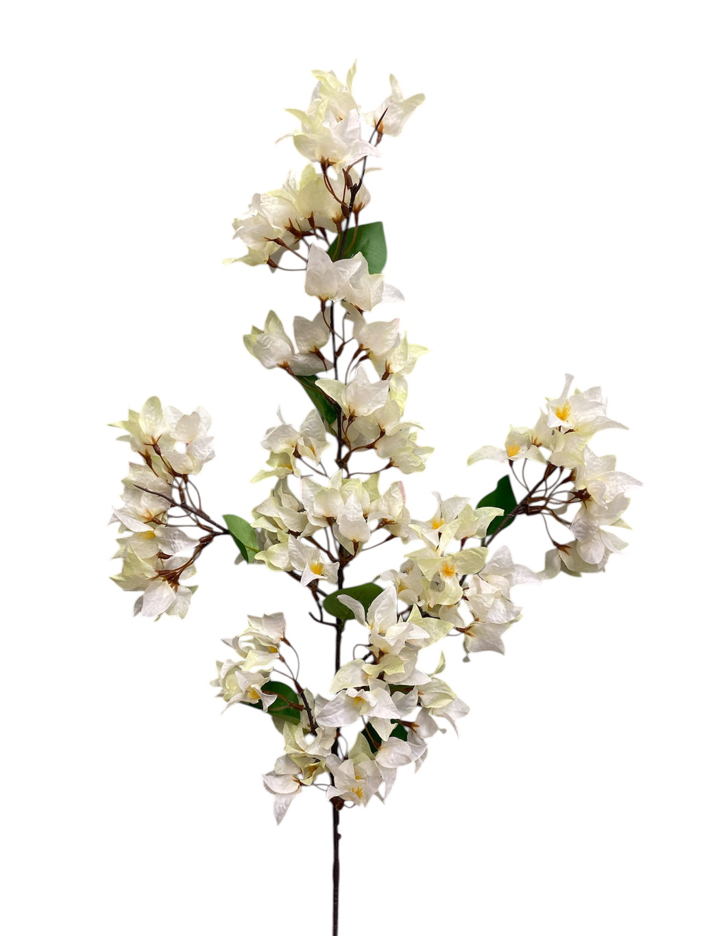 46'' Single Bougainvillea ( INT510-37-#3 Cream )